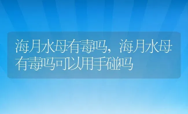 海月水母有毒吗,海月水母有毒吗可以用手碰吗 | 宠物百科知识