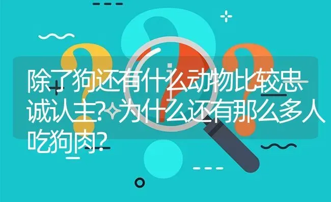 除了狗还有什么动物比较忠诚认主?为什么还有那么多人吃狗肉？ | 动物养殖问答