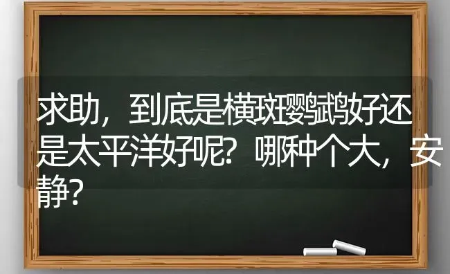 求助，到底是横斑鹦鹉好还是太平洋好呢?哪种个大，安静？ | 动物养殖问答