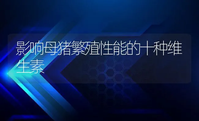 影响母猪繁殖性能的十种维生素 | 动物养殖学堂