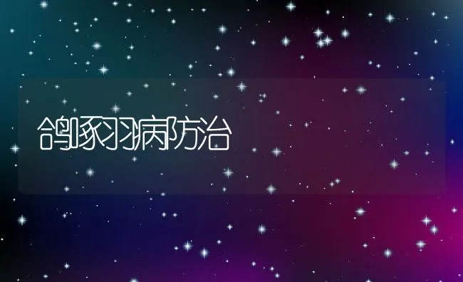 鸽啄羽病防治 | 动物养殖学堂