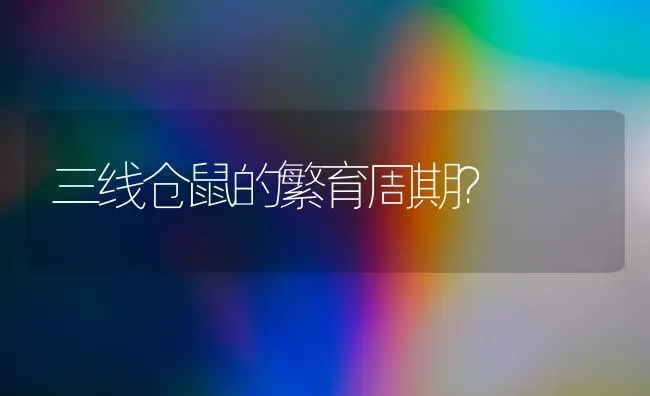 陆乌龟有几种品种图片？ | 动物养殖问答