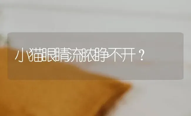 小猫眼睛流脓睁不开？ | 动物养殖问答