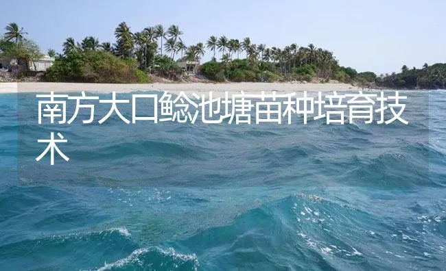 南方大口鲶池塘苗种培育技术 | 海水养殖技术