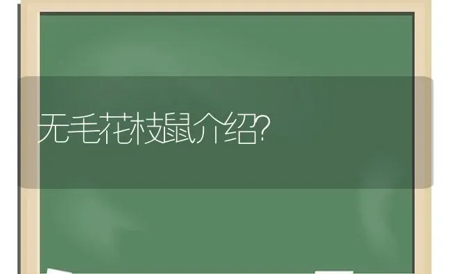 雪纳瑞的眼睛大还是小？ | 动物养殖问答