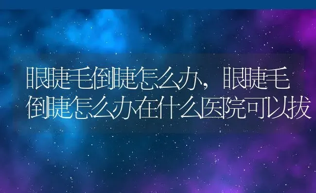 眼睫毛倒睫怎么办,眼睫毛倒睫怎么办在什么医院可以拔 | 宠物百科知识