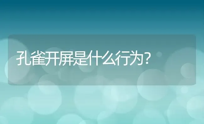 孔雀开屏是什么行为？ | 动物养殖百科