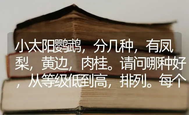 小太阳鹦鹉，分几种，有凤梨，黄边，肉桂。请问哪种好，从等级低到高，排列。每个品种价钱是多少钱？ | 动物养殖问答