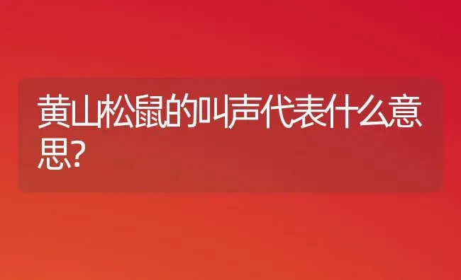 黄山松鼠的叫声代表什么意思？ | 动物养殖问答