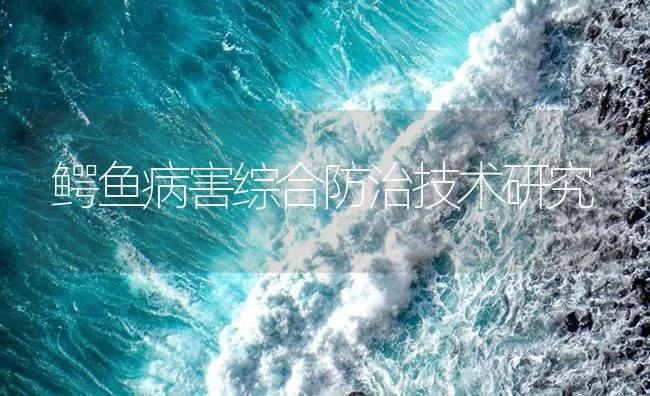 鳄鱼病害综合防治技术研究 | 海水养殖技术