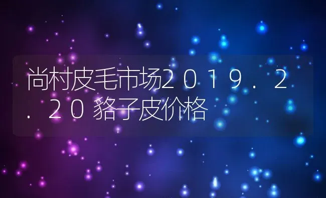 尚村皮毛市场2019.2.20貉子皮价格 | 动物养殖百科