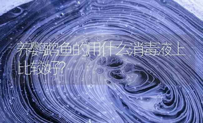 养鹦鹉鱼的用什么消毒液上比较好？ | 鱼类宠物饲养