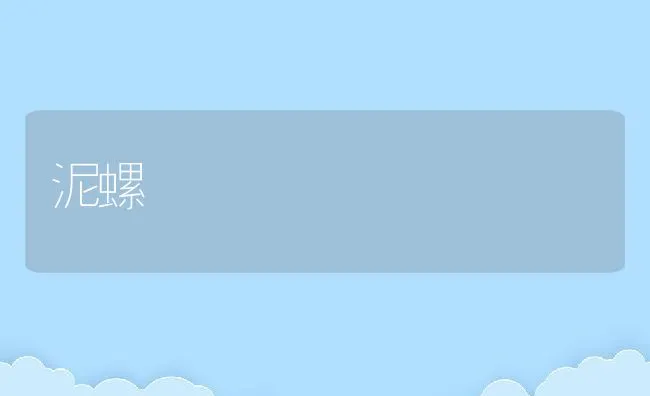 泥螺 | 动物养殖学堂