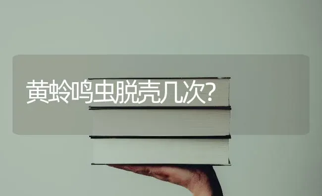 黄蛉鸣虫脱壳几次？ | 动物养殖问答