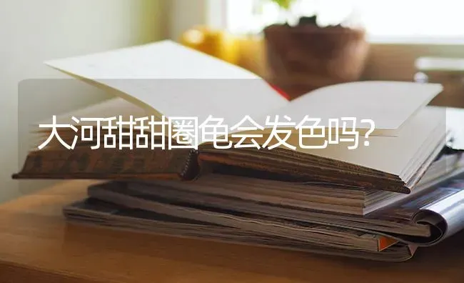 为什么一碰兔宝宝的他就吱吱叫？ | 动物养殖问答