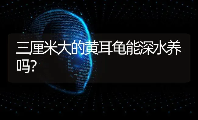 三厘米大的黄耳龟能深水养吗？ | 动物养殖问答