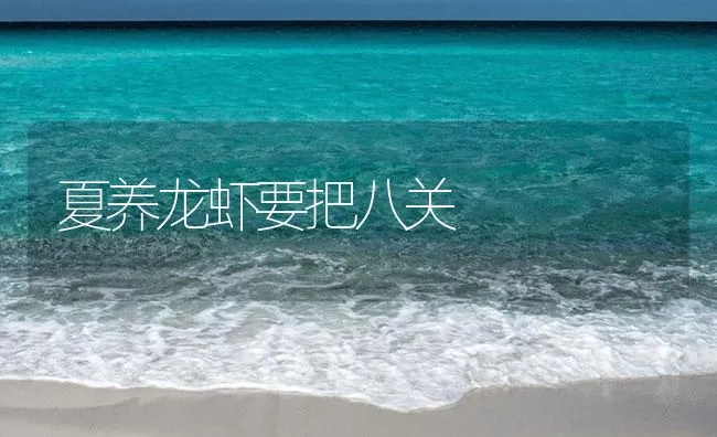 夏养龙虾要把八关 | 海水养殖技术