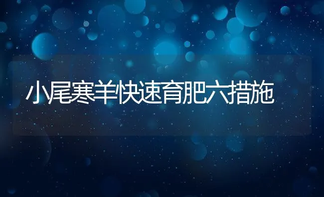 中科1号白对虾通过国家审定 | 海水养殖技术