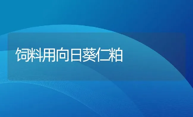 饲料用向日葵仁粕 | 动物养殖学堂