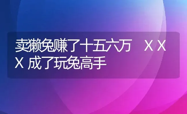 卖獭兔赚了十五六万 XXX成了玩兔高手 | 动物养殖教程