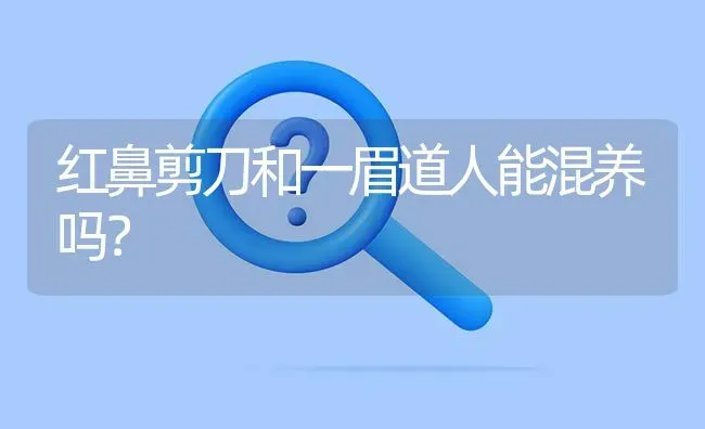 红鼻剪刀和一眉道人能混养吗？ | 鱼类宠物饲养