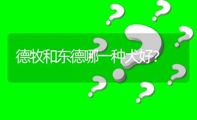 德牧和东德哪一种犬好？ | 动物养殖问答