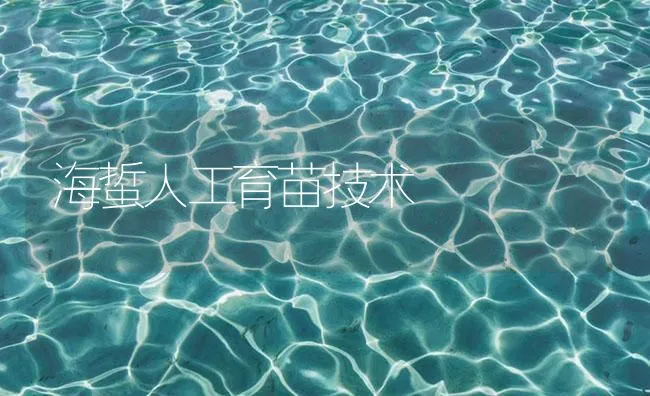 海蜇人工育苗技术 | 海水养殖技术