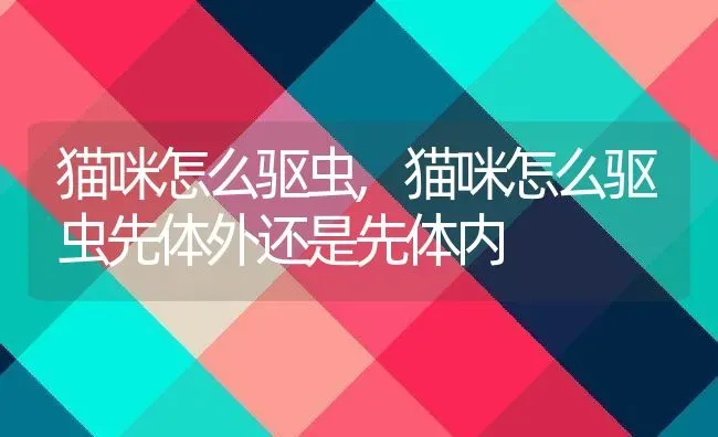 猫咪怎么驱虫,猫咪怎么驱虫先体外还是先体内 | 宠物百科知识