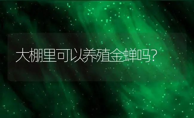 大棚里可以养殖金蝉吗？ | 动物养殖百科