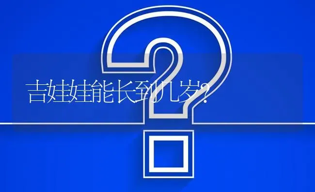 吉娃娃能长到几岁？ | 动物养殖问答