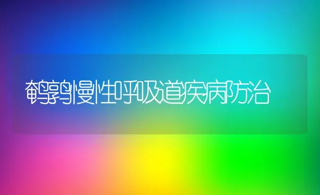 鹌鹑慢性呼吸道疾病防治 | 动物养殖学堂