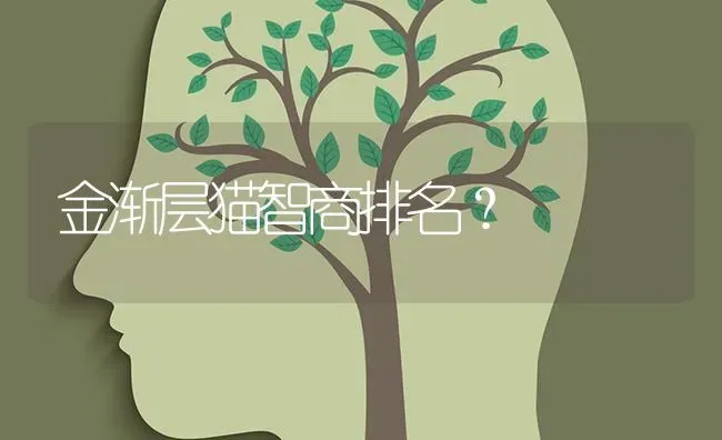 成年拉布拉多犬每天的狗粮一般最少花费多少？ | 动物养殖问答