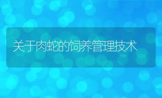 养兔实用新技术 | 动物养殖学堂