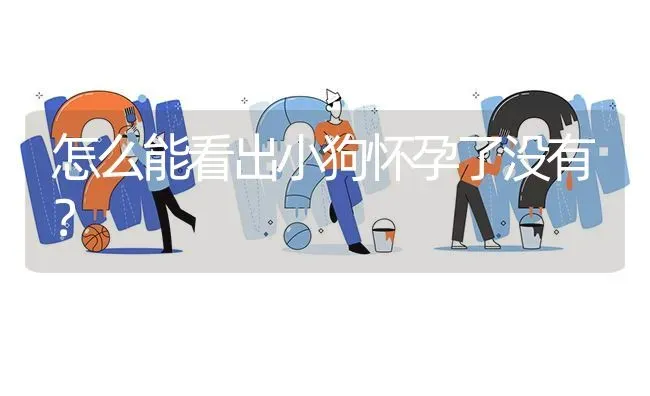 怎么能看出小狗怀孕了没有？ | 动物养殖问答