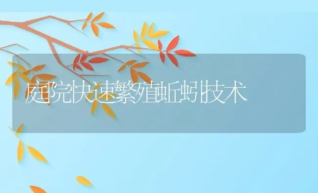 庭院快速繁殖蚯蚓技术 | 水产养殖知识