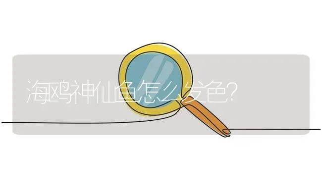 海鸥神仙鱼怎么发色？ | 鱼类宠物饲养