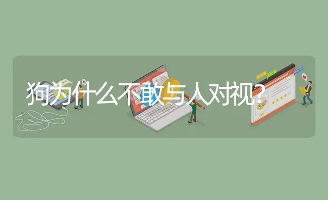 狗为什么不敢与人对视？ | 动物养殖问答