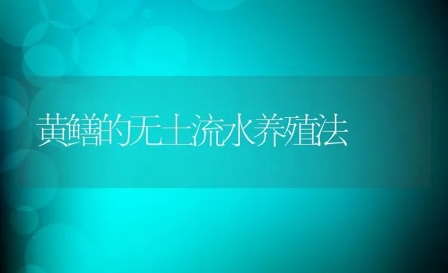 黄鳝的无土流水养殖法 | 动物养殖饲料