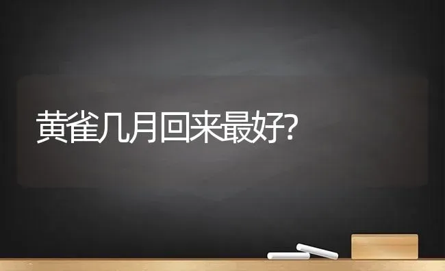 黄雀几月回来最好？ | 动物养殖问答