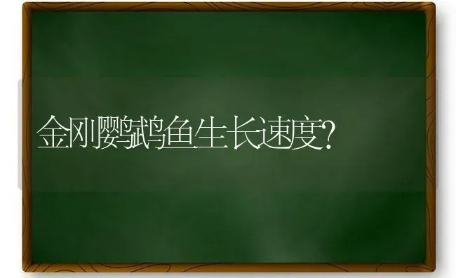 金刚鹦鹉鱼生长速度？ | 动物养殖问答