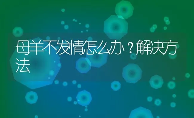 母羊不发情怎么办？解决方法 | 动物养殖百科