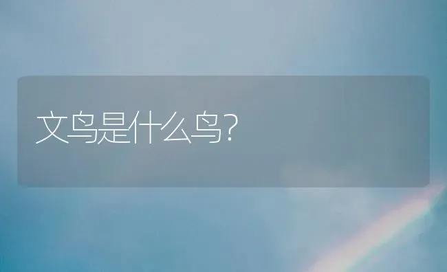 狗狗上吐下泻，喝水都吐，怎么办，急急急，已经两三天了？ | 动物养殖问答