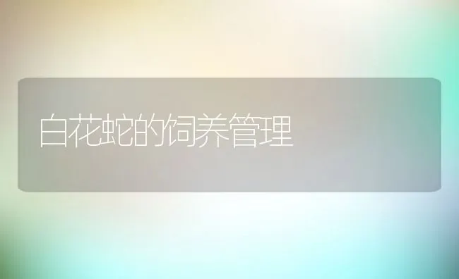 白花蛇的饲养管理 | 动物养殖学堂