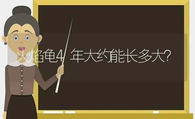 火焰龟4年大约能长多大？ | 动物养殖问答