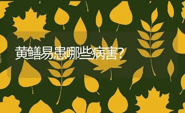 黄鳝易患哪些病害？ | 动物养殖百科