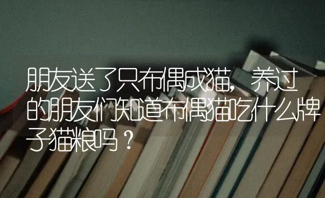 朋友送了只布偶成猫，养过的朋友们知道布偶猫吃什么牌子猫粮吗？ | 动物养殖问答