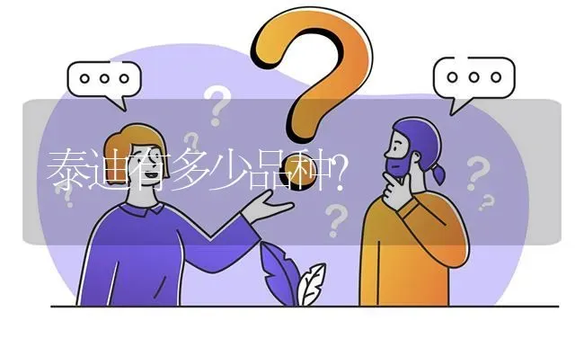 博美很听话粘人吗？ | 动物养殖问答