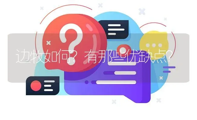 边牧如何？有那些优缺点？ | 动物养殖问答