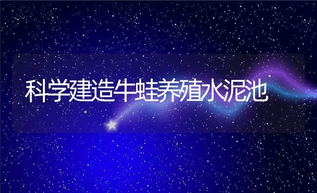 科学建造牛蛙养殖水泥池 | 动物养殖学堂