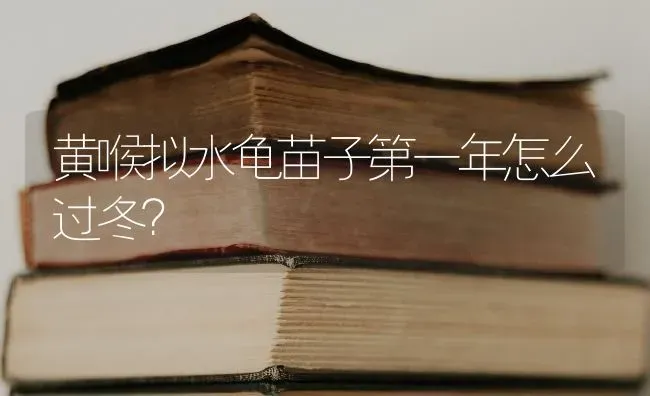 黄喉拟水龟苗子第一年怎么过冬？ | 动物养殖问答